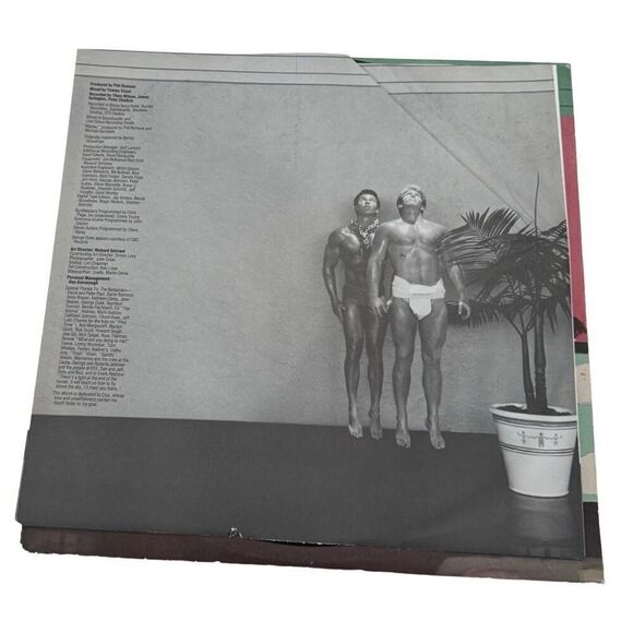 Bossa Nova Hotel [LP] by Michael Sembello (Vinyl, Wounded Bird Records) - Picture 4 of 9